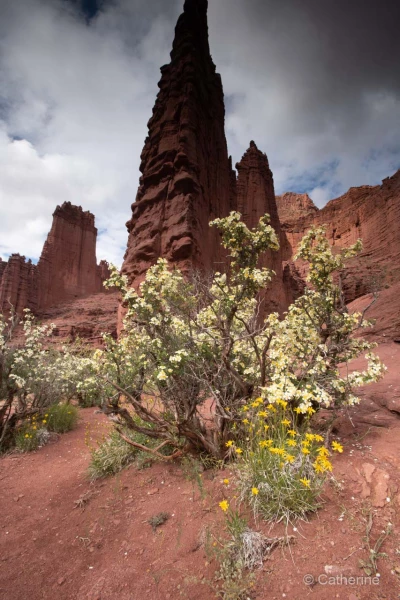 051 catherine stage utah mai 2019 051 catherine stage utah mai 2019