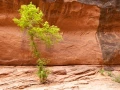 052 catherine stage utah mai 2019