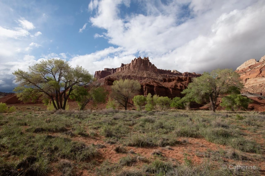 053 catherine stage utah mai 2019 053 catherine stage utah mai 2019
