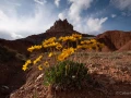 054 catherine stage utah mai 2019