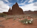 055 catherine stage utah mai 2019