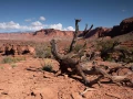 056 catherine stage utah mai 2019