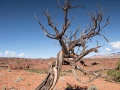 057 catherine stage utah mai 2019