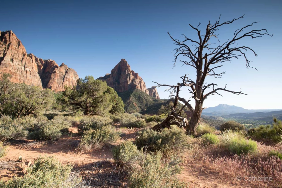 058 catherine stage utah mai 2019 058 catherine stage utah mai 2019