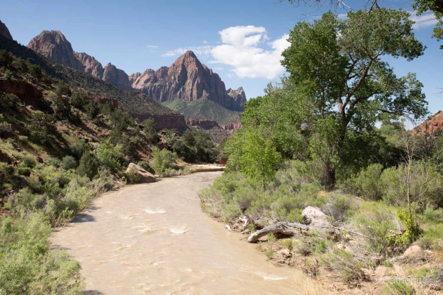 059 catherine stage utah mai 2019 059 catherine stage utah mai 2019