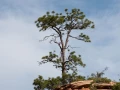 063 catherine stage utah mai 2019