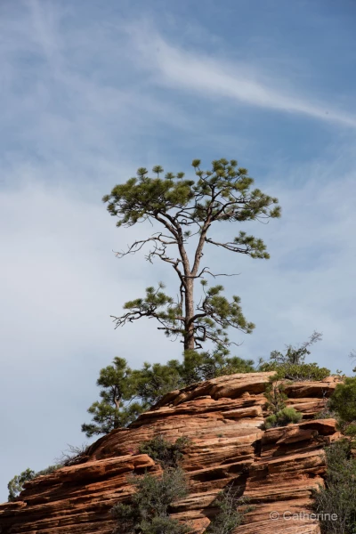 063 catherine stage utah mai 2019 063 catherine stage utah mai 2019