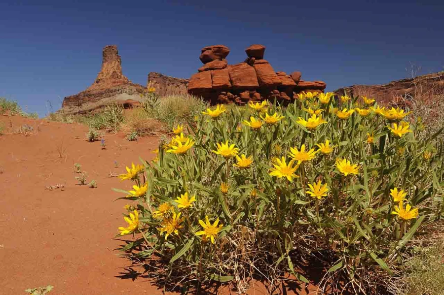 moab utah etats unis stage photo paysage amar guillen photogaphe large 14 moab utah etats unis stage photo paysage amar guillen photogaphe large 14