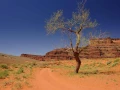 moab utah etats unis stage photo paysage amar guillen photogaphe large 17
