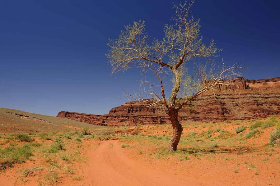 moab utah etats unis stage photo paysage amar guillen photogaphe large 17 moab utah etats unis stage photo paysage amar guillen photogaphe large 17