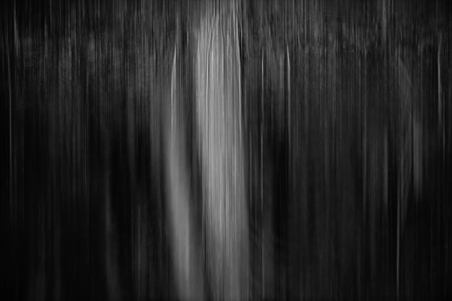Illusion in BW I Illusion in BW I