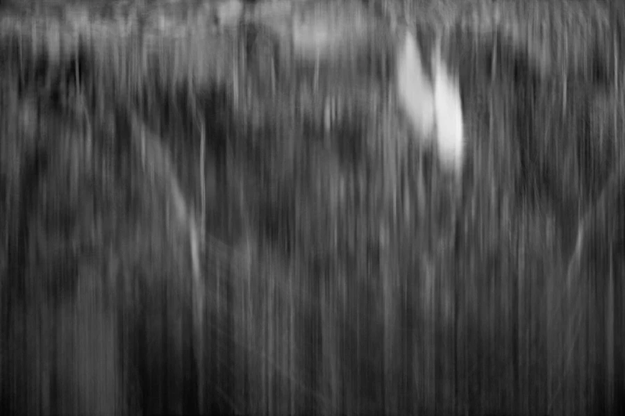 Illusion in BW II Illusion in BW II