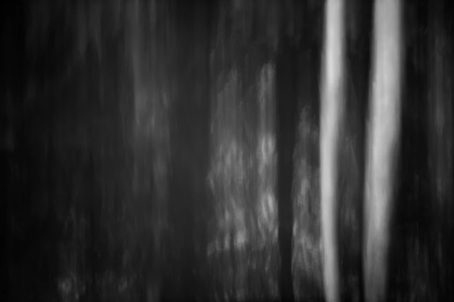 Illusion in BW III Illusion in BW III