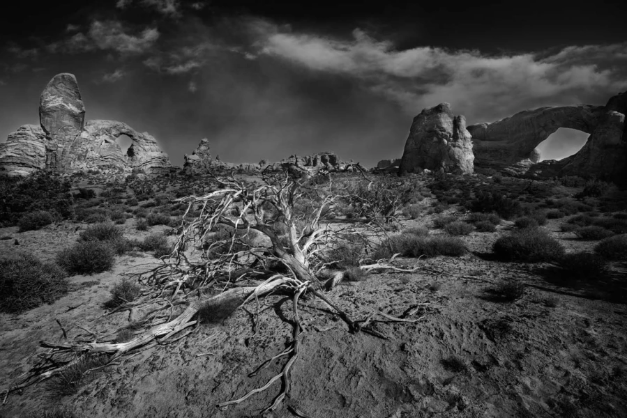 Paysage du parc national des Arches dans l'Utah aux Etats-unis. Paysage du parc national des Arches dans l'Utah aux Etats-unis.