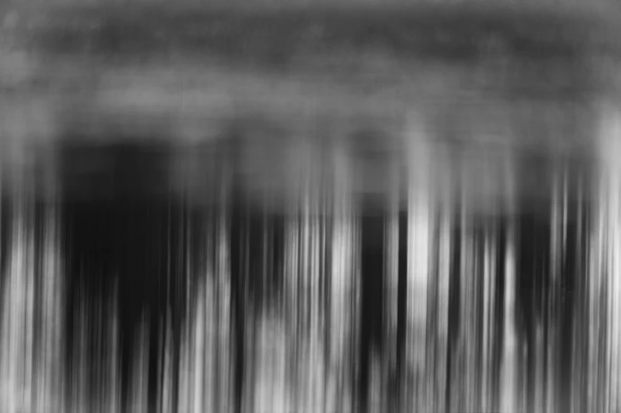 Illusion in BW V Illusion in BW V