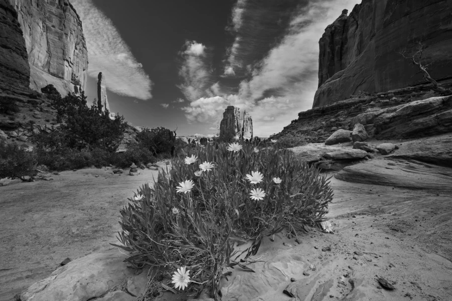Paysage du parc national des Arches dans l'Utah aux Etats-unis. Paysage du parc national des Arches dans l'Utah aux Etats-unis.