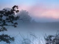 14 landscape wetland haute saintonge france