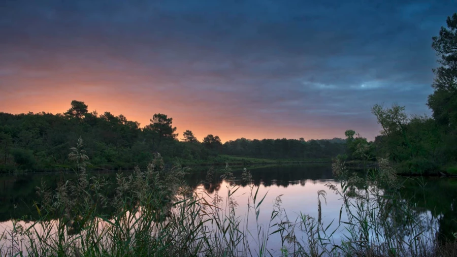 20 landscape wetland haute saintonge france 20 landscape wetland haute saintonge france