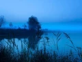 03 blue morning