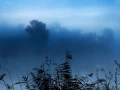 05 blue morning