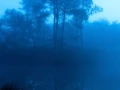 07 blue morning
