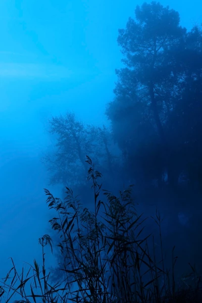 08 blue morning
