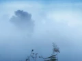 09 blue morning