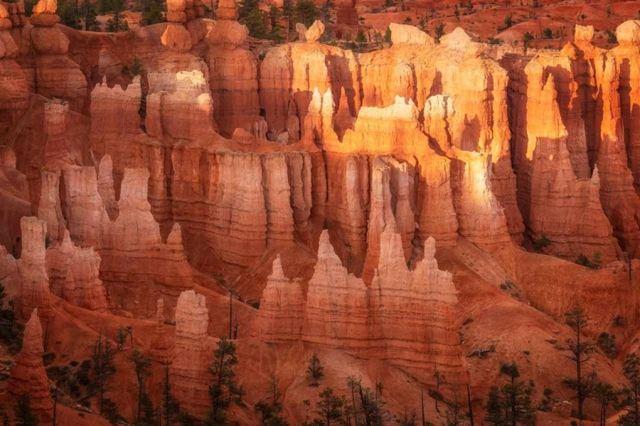 10 landscape of bryce canyon