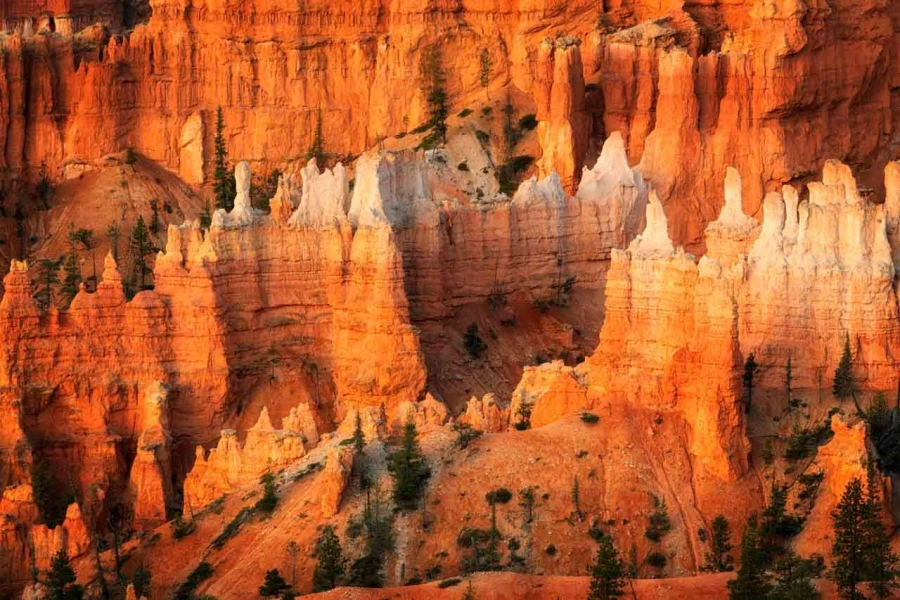 11 landscape of bryce canyon