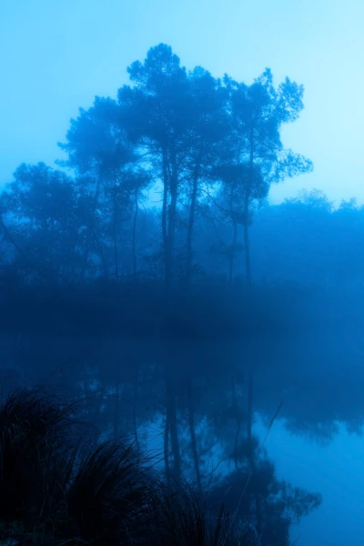 07 dawn first day rest your life
