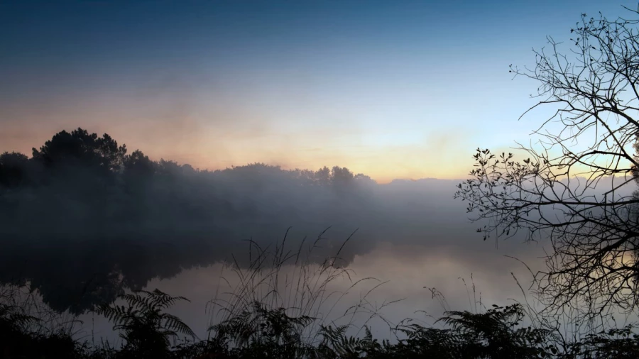 11 dawn first day rest your life
