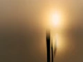 03 rising sun impression style