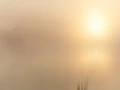 06 rising sun impression style