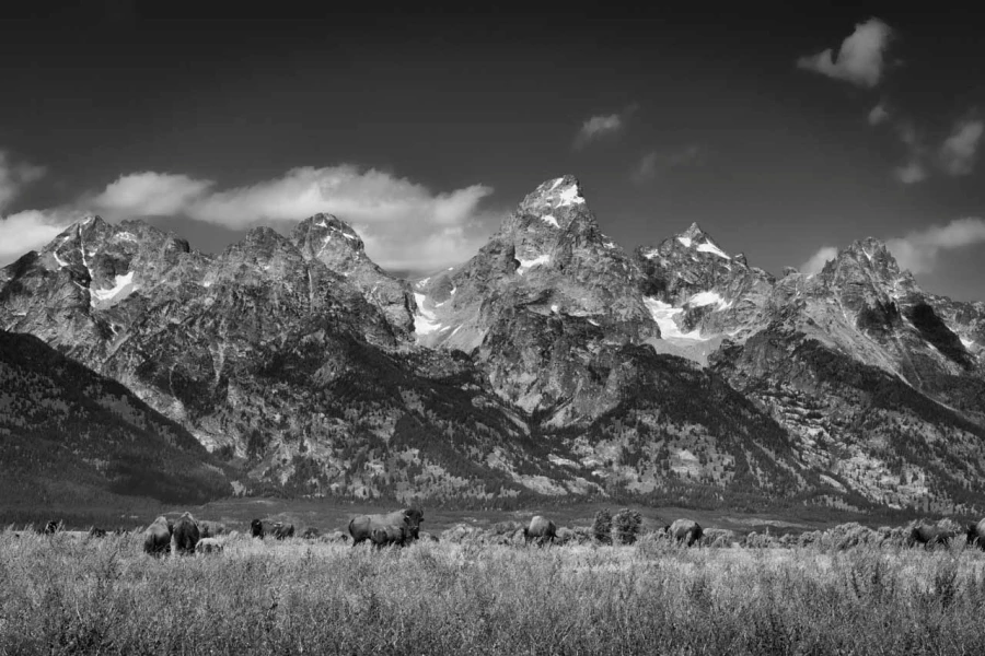 11 grand teton in wyoming