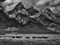 12 grand teton in wyoming