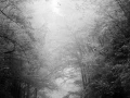 02 landscape smoky mountains underwood black and white