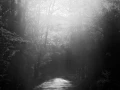 03 landscape smoky mountains underwood black and white