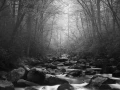 05 landscape smoky mountains underwood black and white