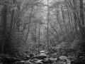 06 landscape smoky mountains underwood black and white