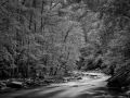 11 landscape smoky mountains underwood black and white