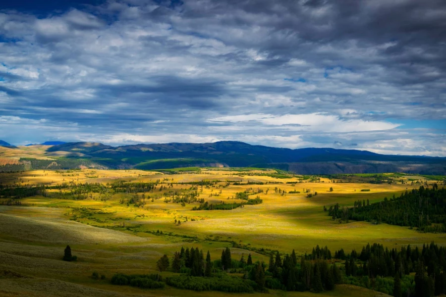 15 landscape yellowstone in color