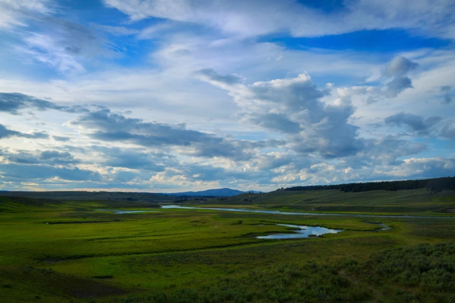17 landscape yellowstone in color