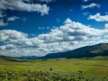 18 landscape yellowstone in color