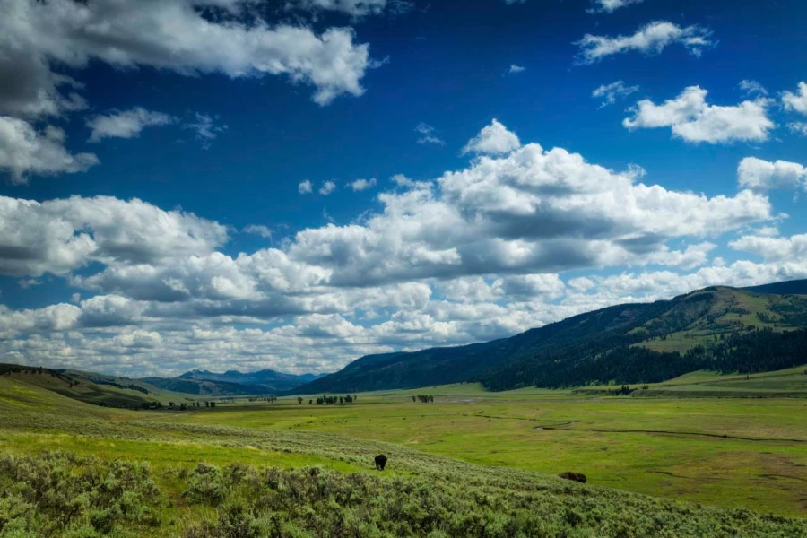 18 landscape yellowstone in color