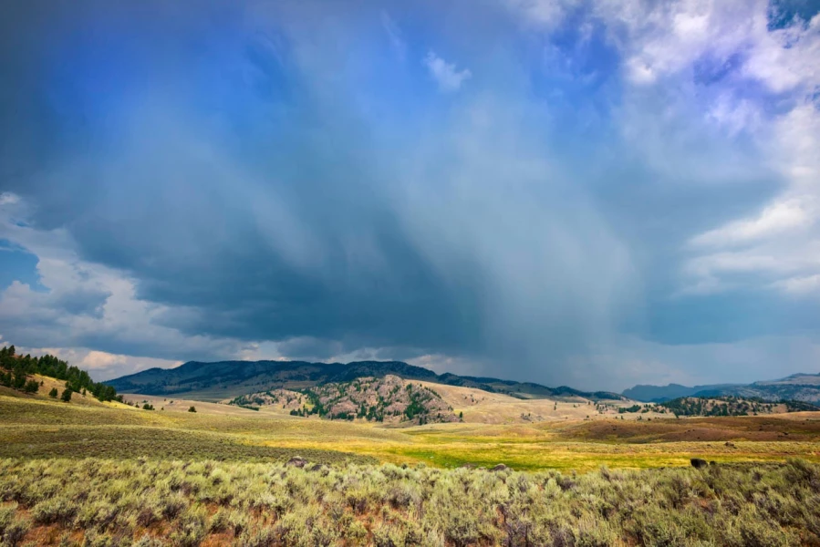 19 landscape yellowstone in color