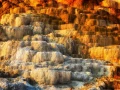 32 landscape yellowstone in color