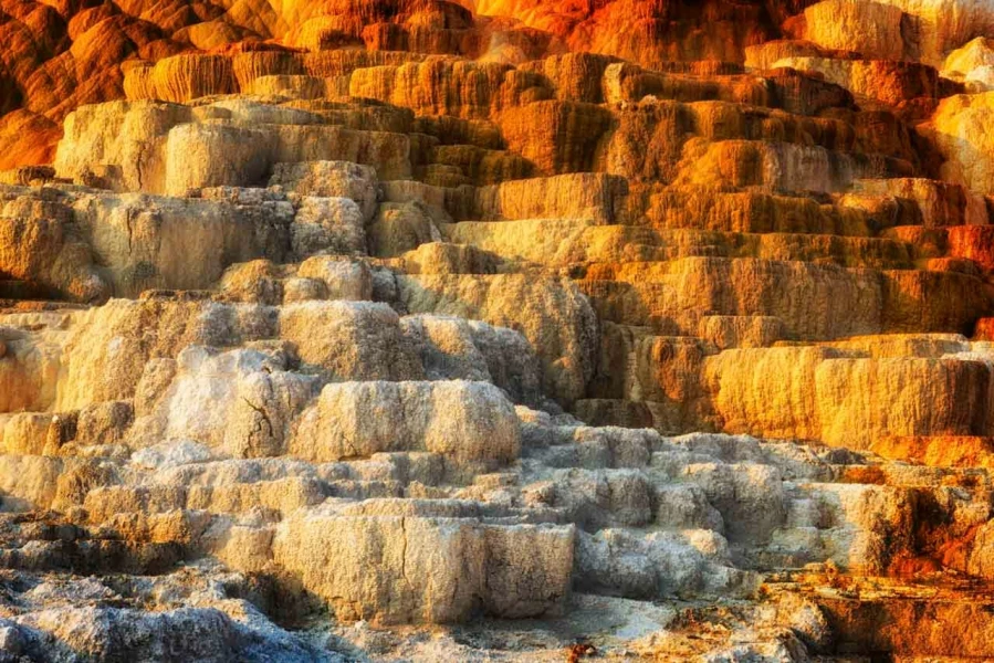 32 landscape yellowstone in color