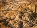 36 landscape yellowstone in color