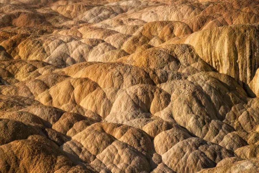 36 landscape yellowstone in color