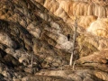 37 landscape yellowstone in color